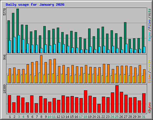 Daily usage for January 2026