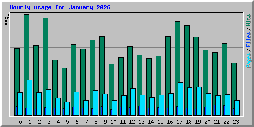 Hourly usage for January 2026