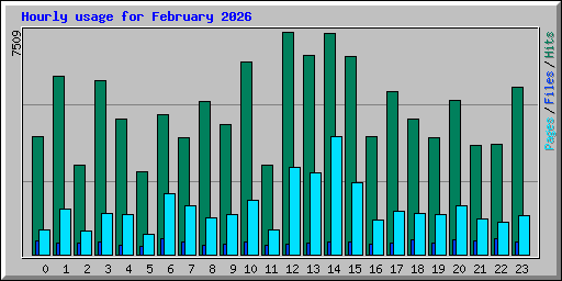 Hourly usage for February 2026